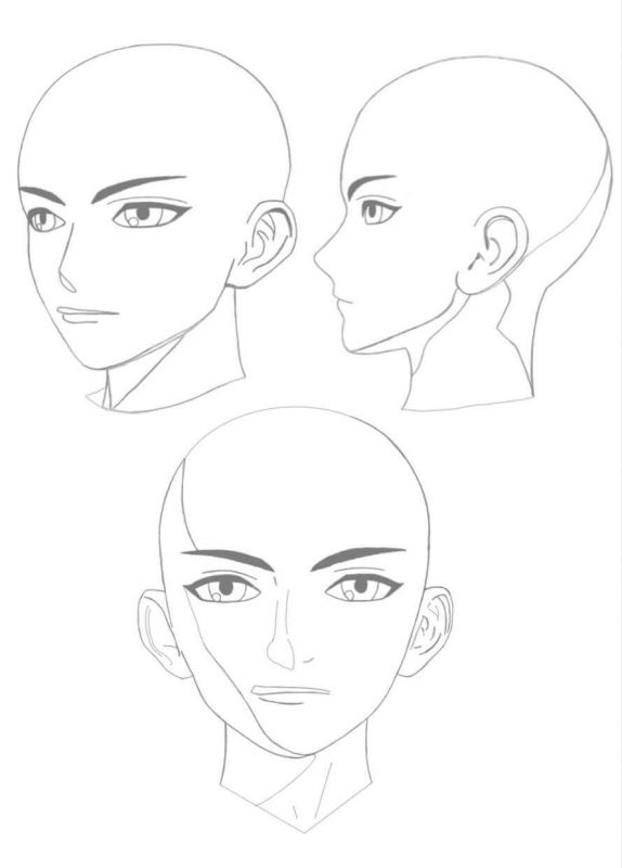 Face Reference Drawing Art - Drawing Skill