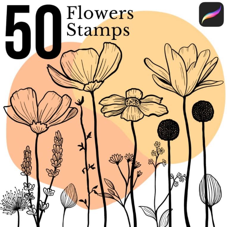 free procreate flower stamps