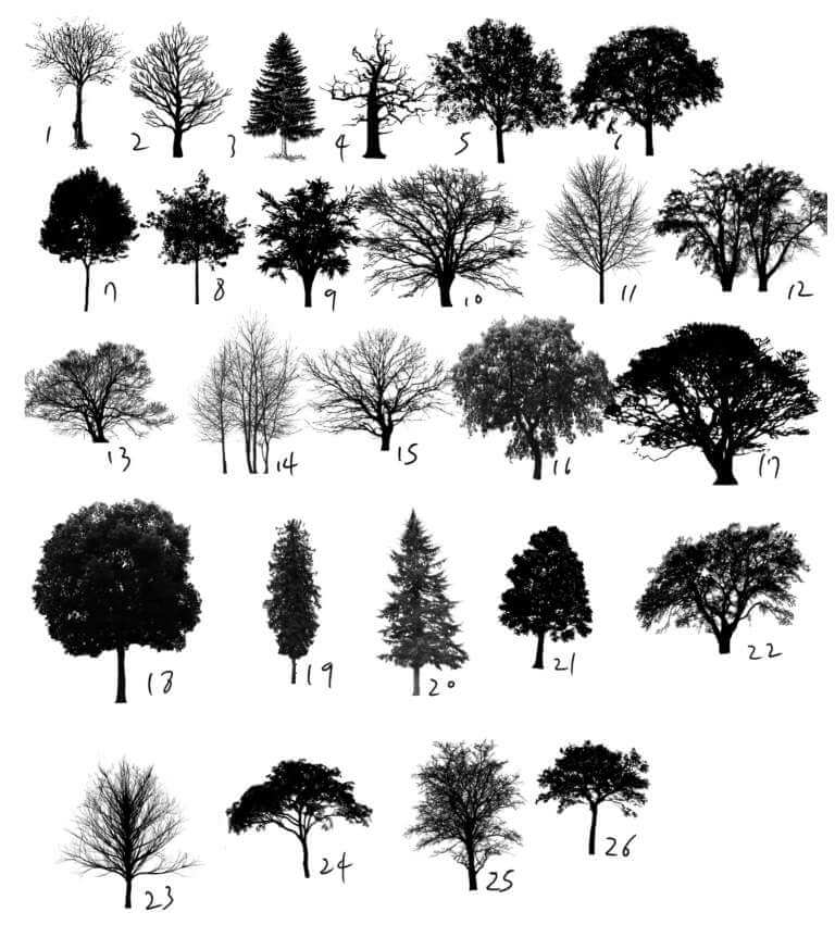 Tree Nature brush - Free Brushes for Procreate